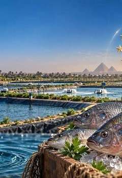 الاتحاد الأوروبي يدرج منتجات الاستزراع السمكي المصري في قوائمه