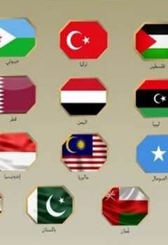 الدول الـ19