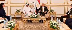 وزير الري ومساعد وزير الخارجية الإماراتي