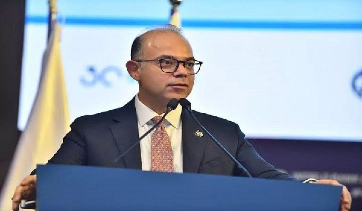 محمد فريد وزير الاستثمار المصري