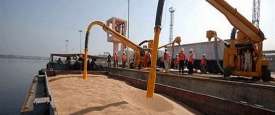 وصول باخرة تحمل 30 ألف طن قمح إلى ميناء الأسكندرية