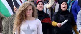 عهد التميمي