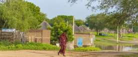 مبادرة تمويل لتمكين المرأة الريفية في السودان