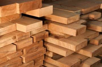 الخشب سيحل محل الصلب في صناعة السيارات والطائرات