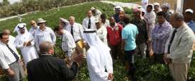 جانب من الدورات التدريبية