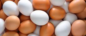 البيض 
