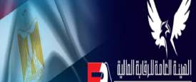 الرقابة المالية المصرية 