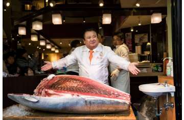 سمكة التونة في سوق تسوكيغي 