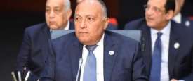 سامح شكري، وزير الخارجية المصري