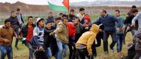 فلسطنيين فى وجه الاحتلال (أرشيفية)