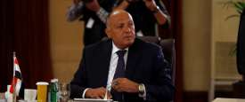 سامح شكري، وزير الخارجية المصري