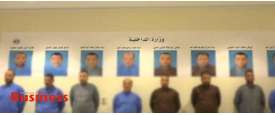 عناصر الخلية الإخوانية