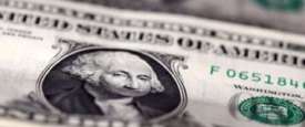 الدولار