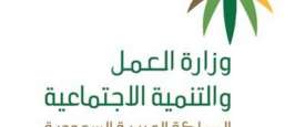 وزارة العمل