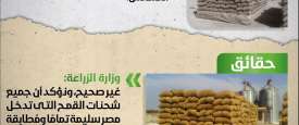 انفوجراف