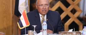 وزير خارجية مصر سامح شكري