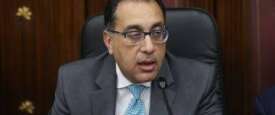الدكتور على مصيلحي
