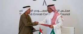 مجلس التنسيق السعودي الإماراتي