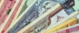عملات إماراتية 