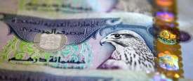 الدرهم الإماراتي