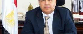 وزير المالية المصرية