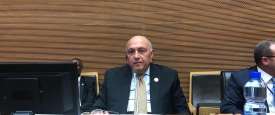 سامح شكري