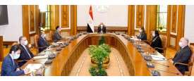 السيسي والحكومة