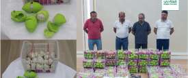 المتهمين والمضبوطات