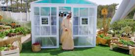 محمد بن راشد