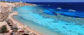 شاطئ مصري