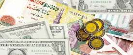  سعر الدولار