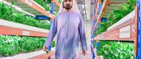 محمد بن راشد