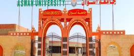 جامعة أسوان