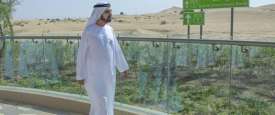 محمد بن راشد