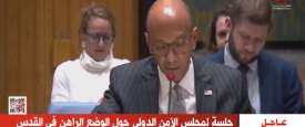 مندوب أمريكا بمجلس الأمن