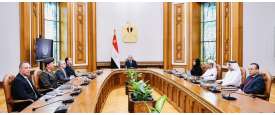 لقاء السيسي ومحمد الشامسي