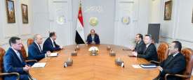 اجتماع السيسي