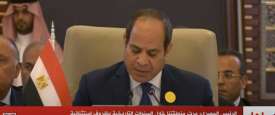 الرئيس السيسي