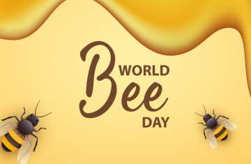  World Bee Day