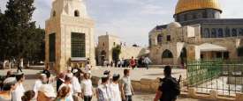 مستوطنون في ساحة الأقصى