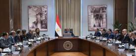 مجلس الوزراء المصري