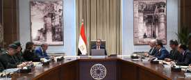الحكومة المصرية