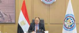 وزير المالية المصري