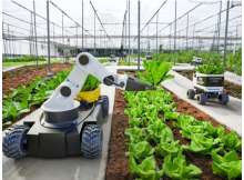 الصين تطور نظام إنتاج زراعي ذكي