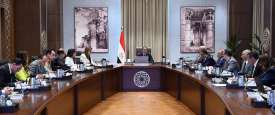 الحكومة المصرية