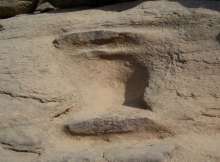 Serpent Yoni-Lingam engraved on rock at Peepal Dhoro