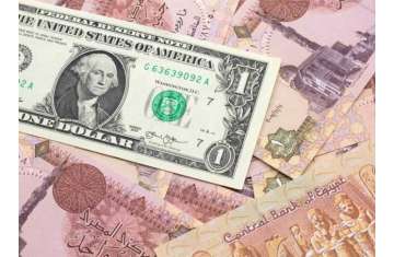 سعر الدولار