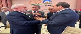لقاء الرئيس السيسي بنظيره البرازيلي لولا دا سيلفا