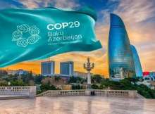 مؤتمر COP29