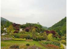 Garden of Morning Calm, Korea